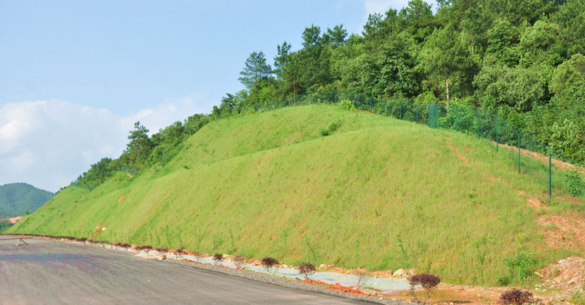 江西·鹰潭至瑞金高速公路建设项目绿化景观工程